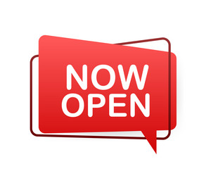 megaphone with now open banner web vector image
