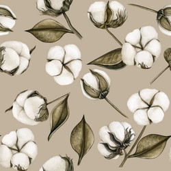 Cotton flower pattern organic blossom nature Vector Image