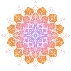 Flower color mandala vector