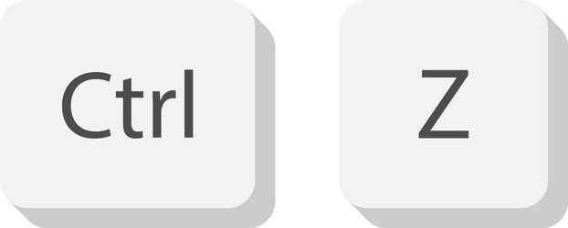 ctrl z keyboard keys button on flat style isolated vector image