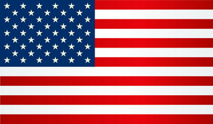 United States Flag Vector Image