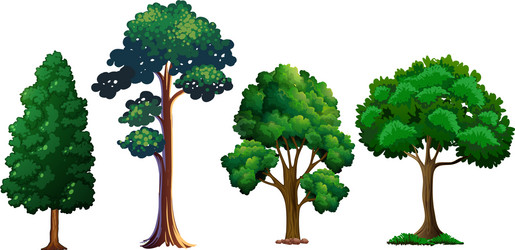 set of different tree vector image