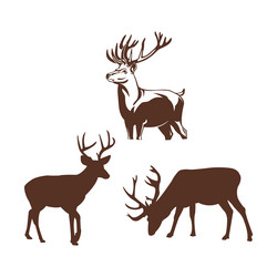 set of cute deer with antlers flat Vector Image