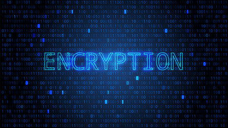 digital binary code bg with highlighted numbers vector image