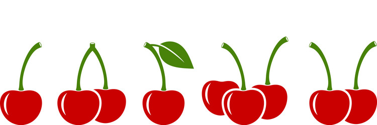 Cherry fruit ripeness stages chart colour Vector Image