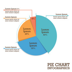 Pie Chart Data Visualization vector image