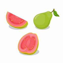 guava fruit whole and slice object collection set vector