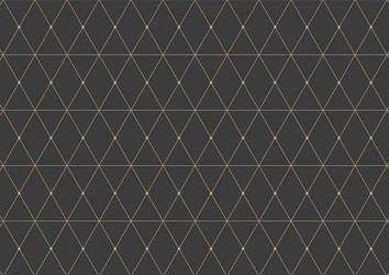 abstract geometric pattern with lines on dark vector image