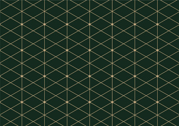 abstract geometric pattern with lines on dark vector image