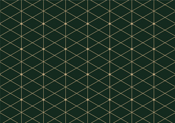 Abstract geometric pattern with lines on dark vector