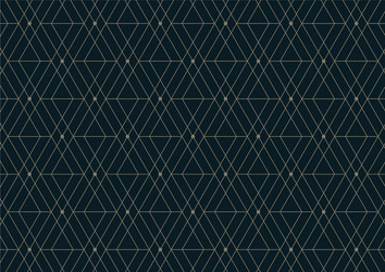 abstract geometric pattern with lines on dark vector image