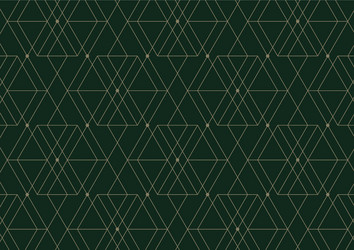 abstract geometric pattern with lines on dark vector image