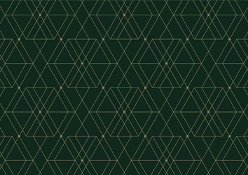 Abstract geometric pattern with lines on dark vector