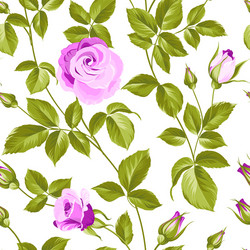 roses pattern vector image