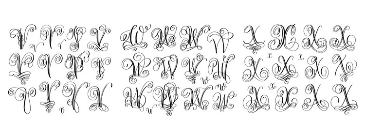 Calligraphic Letters V W X Script Font Set vector image