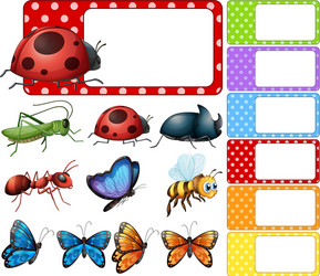 Label template with different types of insects vector