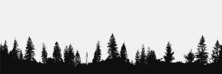 Forest background beautiful landscape wallpaper Vector Image