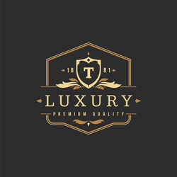 Letter m monogram logo with golden crown design Vector Image