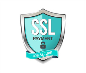 SSL Security Icon - Secure Shield vector image