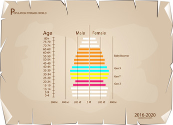 2016-2020 population pyramids graphs with 4 genera vector