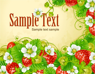 Strawberry Frame with Blossoms Vector Image
