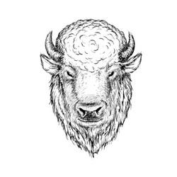 Unusual small buffalo tattoo ideas to make you shine