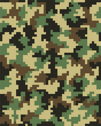 Digital Camouflage Pixel Pattern vector image