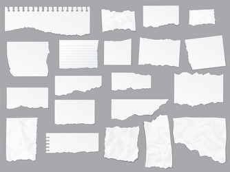 Torn paper notes notebook realistic vector