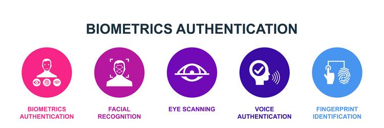 Biometrics authentication facial recognition eye Vector Image