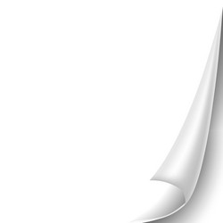 blank sheet of paper with page curl and shadow vector image