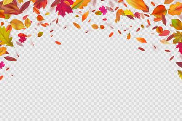 Falling Autumn Leaves Vector Image