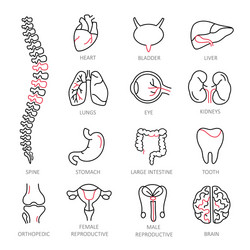 modern of thin linear icons vector image