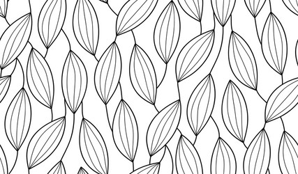 Abstract Botanical Line Art Background vector image