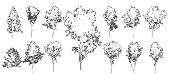 set of forest trees for architecture vector image