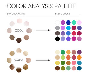 Color analysis palette by cool and warm skin vector