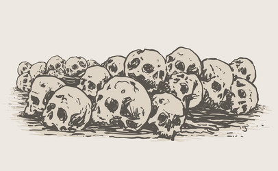 pile of human skulls vector