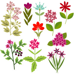 Floral Botanical Set Vector Image