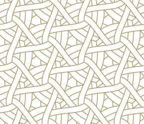 seamless pattern with abstract geometric line vector image