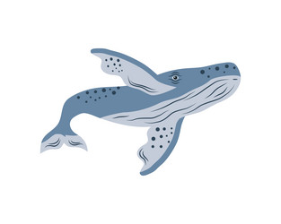 Humpback sealife tropical Royalty Free Vector Image