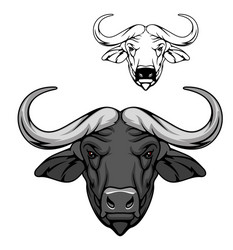 Buffalo Bull Head Icon - Wild Animal Vector Image