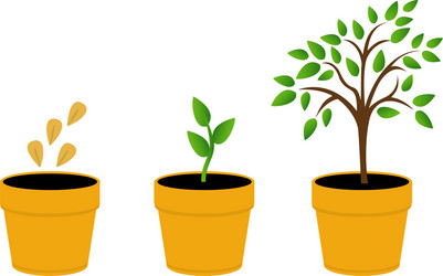 Set of with phases plant growth vector