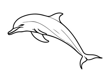 silhouette of a jimping dolphin Vector Image