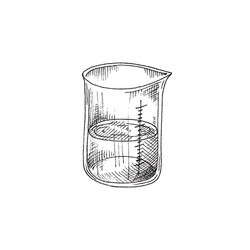 graduated glass measuring laboratory beaker vector