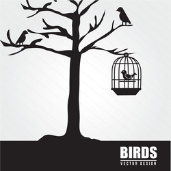 Bird design over white background Royalty Free Vector Image