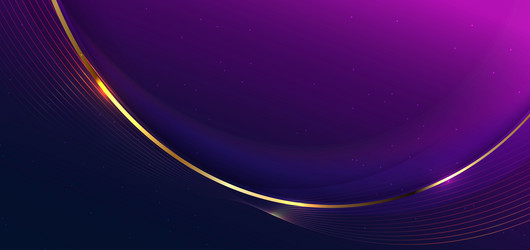 abstract 3d gold curved line on purple and dark vector