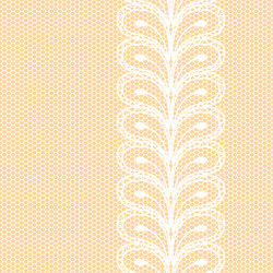 White lacy border on net background vector