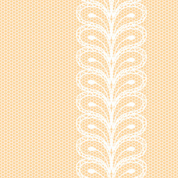 white lacy border on net background vector