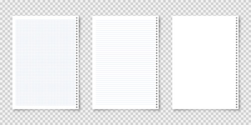 realistic blank lined paper sheets in a4 format vector image