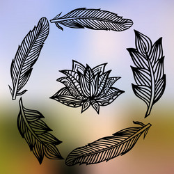 Lotus and feathers frame on the gradient mesh vector