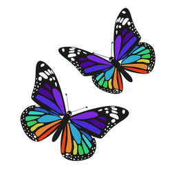 set two rainbow butterflies isolated vector